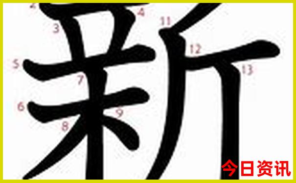 正版特马资料免费资料大全